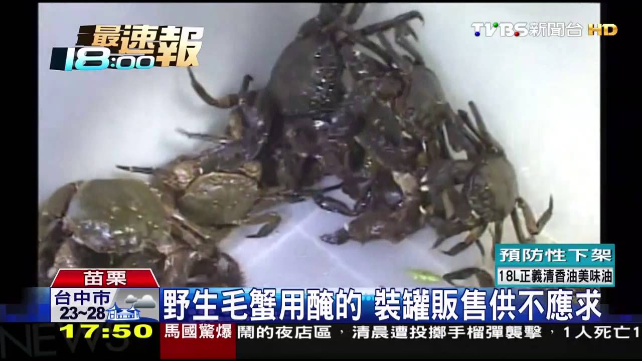 野生毛蟹用醃的　裝罐販售供不應求