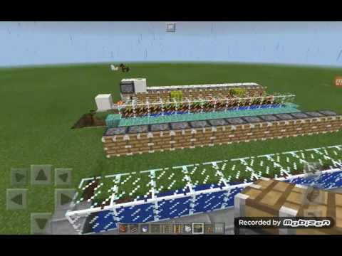 FARM DI ANGURIE AUTOMATICA-(part.1)-by vale