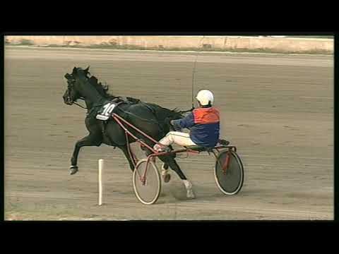 Trotto 11/09/2020 - 9ª corsa - TRIS