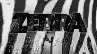 Zebra - Ride My See-Saw & The Story In Your Eyes 1980