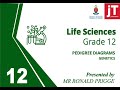 Gr 12 Life Sciences Pedigree Diagrams