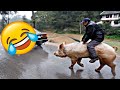 Funny & Hilarious Peoples Life😂 - Fails, Memes, Pranks and Amazing Stunts by Juicy Life🍹Ep. 20