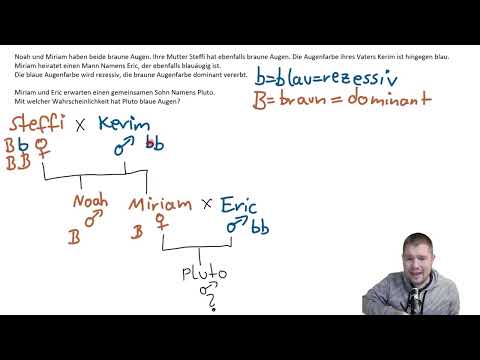 ABI-TRAINING - Stammbaumanalyse (2): Erkennst du die Augenfarbe von Pluto?