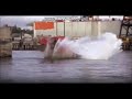 Homeward Bound 2 Lost In San Francisco 1996 Clip