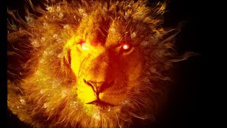 Making money with Rialto. Who are they what do they do.