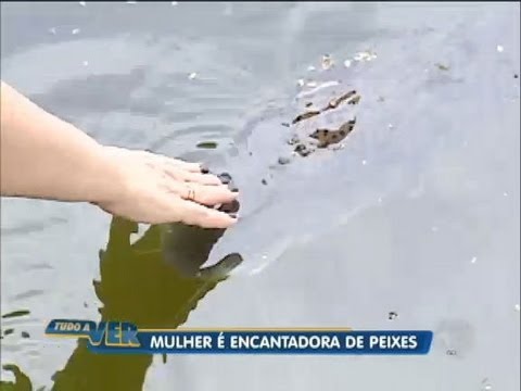 Tudo a Ver 13/08/2012: Conheça a encantadora de peixes em Brotas, no interior de São Paulo