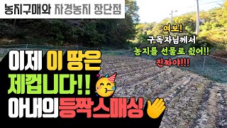 농지 투자로 대박 칠 수 있을까? 농지 현장 탐방기 | 나무대장