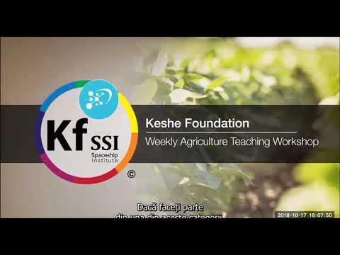 2018 10 17 PM Public Teaching in Romanian - Cursuri publice în română