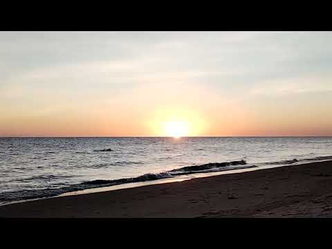 Blanca Arena, Colonia