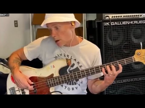 Do You Want An Irresistible Groove? 🤨 The Formula Is Flea + Jaco Pastorius! 😉