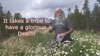 Work Less--Dance More: Embracing Death for Your Best life