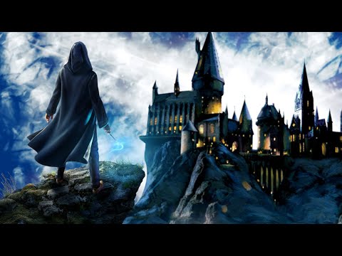Hogwarts Legacy - TEST EN CARTON