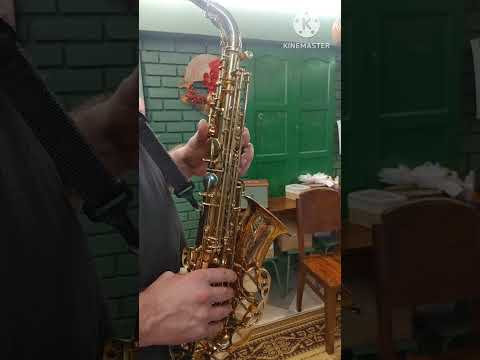 NO TARIFFS - Yanagisawa A-992 Alto Saxophone Solid Silver Neck image 23