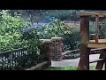 Leaving Good Clean Fun Oh Brother She S My Sister 2 Episode Video