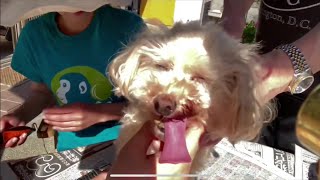 【熟女・賀世子】初めてのデザインカット