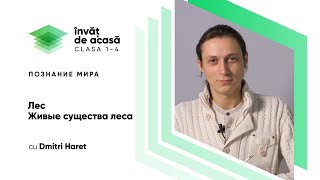 "Лес. Живые существа леса"