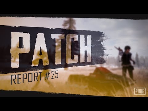 PUBG - Patch Report - PC Update #25