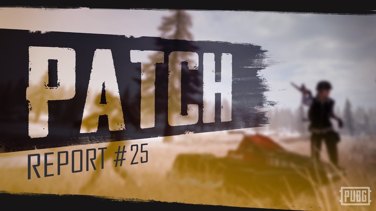 Da oggi si potra' giocare la mappa Vikendi di PUBG sotto l' Aurora Boreale