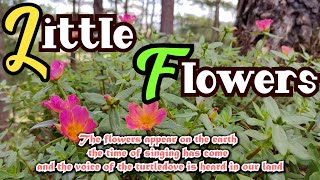 Little Flowers/ With Lyrics/ Cordillera Songbirds  Lifebreakthroughmusic