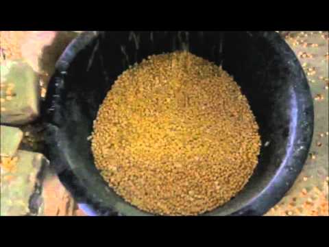 Gram Sorting Machine at Best Price in India