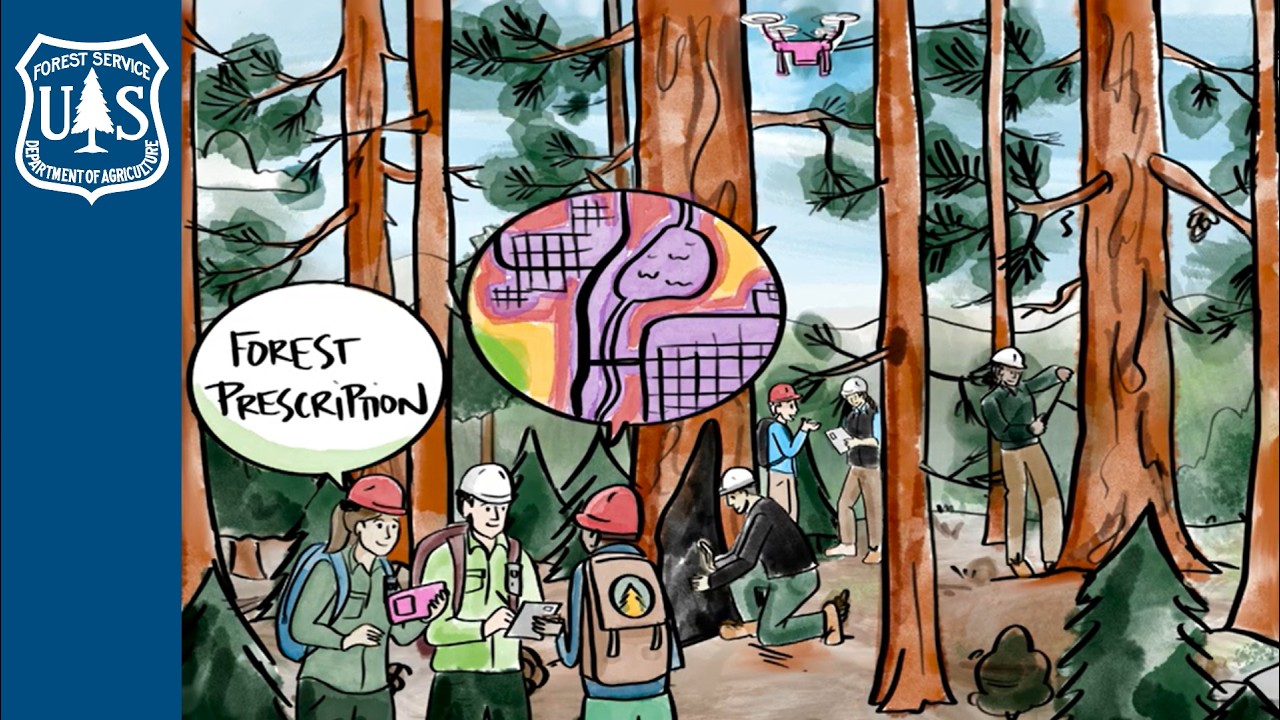 Healthy Forests Need Prescriptions Too