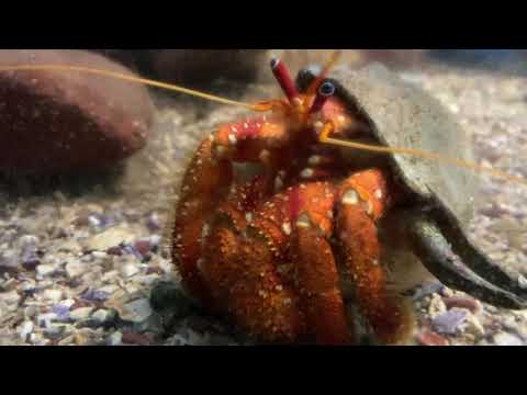 Merimbula Aquarium and Wharf Restaurant