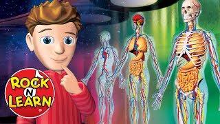 Human Body - Science for Kids - Rock &#39;N Learn