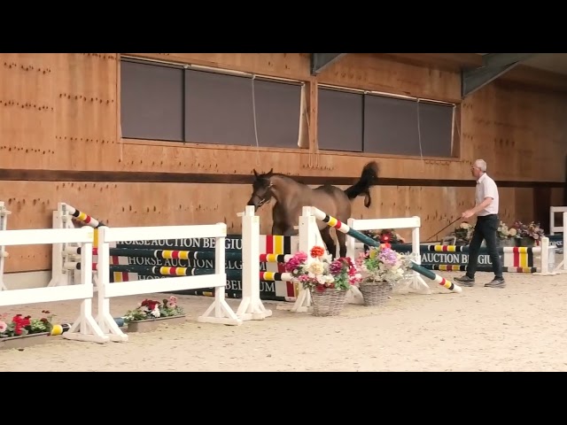 Jumping