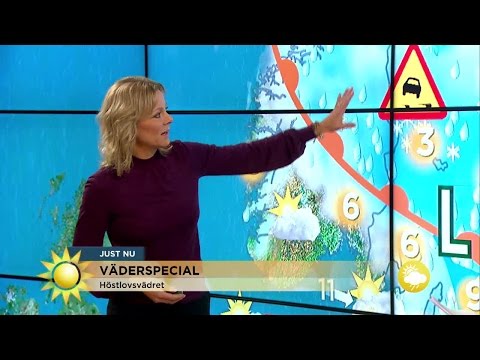 Så blir höstlovsvädret! - Nyhetsmorgon (TV4)