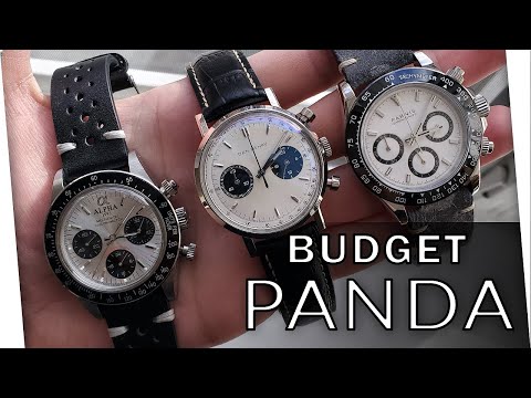 Panda Dial Chronograph Showdown! 4 Budget Panda Dial Watches Compared