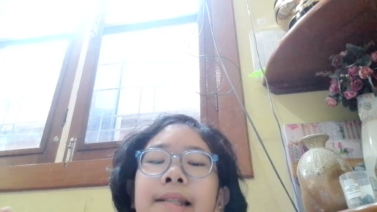 Schritte Plus Neu Buch 5 (B1.1) Lektion 1 Grammatik ALL IN ONE Video