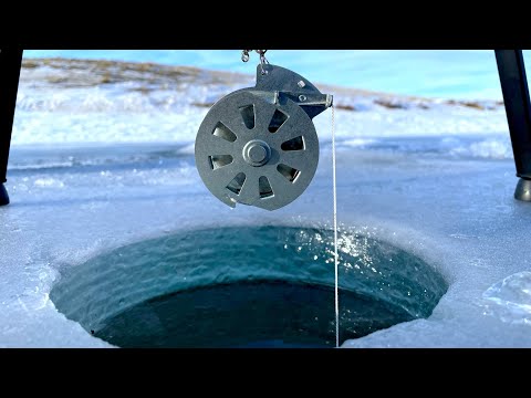 YoYo Automatic Fishing Reels Are Insanely FUN To Use! Best Way To fish!