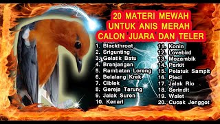 Download lagu Masteran Anis Merah Juara Masteran Anis Merah Full... mp3