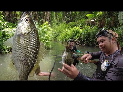 SE02EP57 - Ang RARE na "LAMAYAN " na ISDA (Catch & Cook) San Pablo City, Laguna