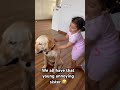 Bhaiyon Ko Pareshan Karne Ka Alag Hi Mazza Hai Love Babygirl Dog Brothersister Funny Fun