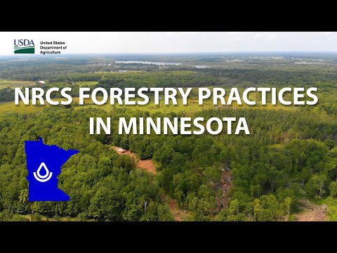NRCS Forestry Practices in Minnesota