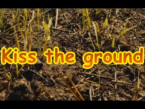 Kiss the ground   full documentary