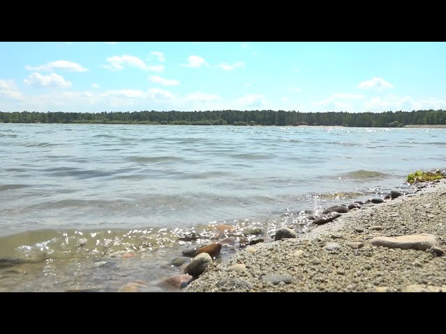 Отдыхающих в знойную погоду неизменно тянет к водоемам