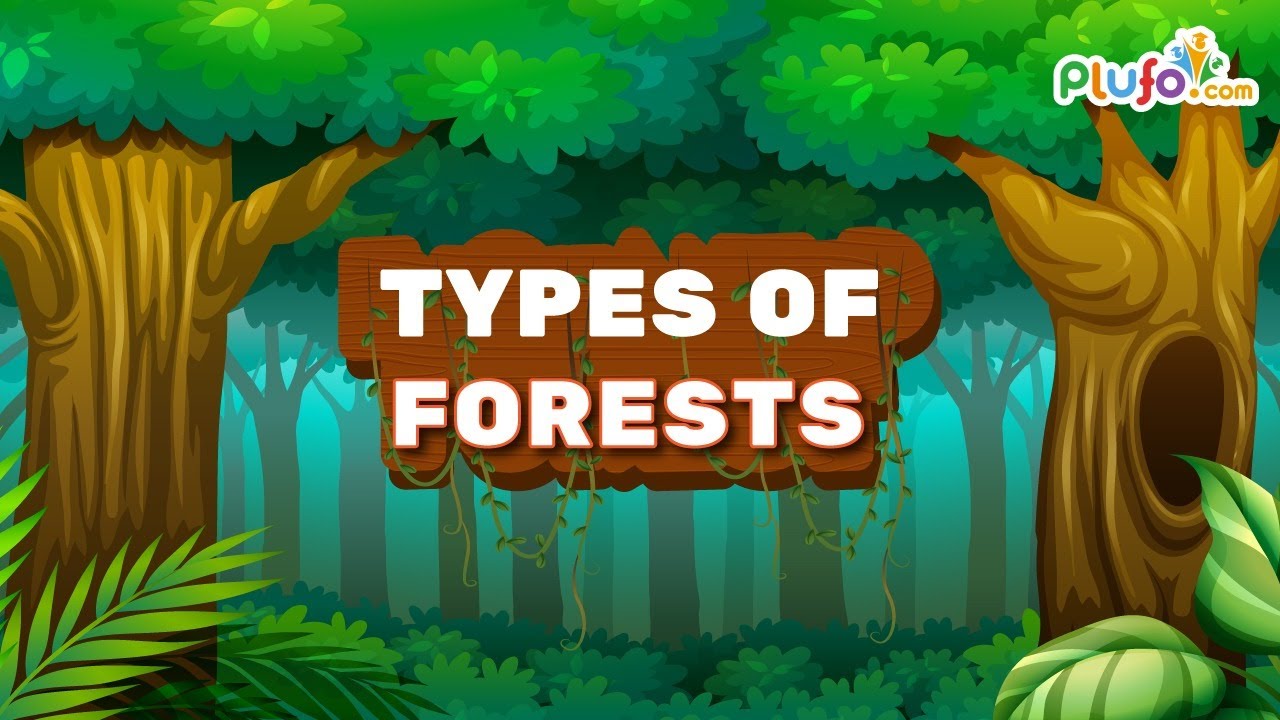 Educational Video on Indian Forest Types and Ecosystem Diversity