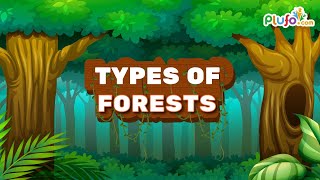 Types of Forests in India - Coniferous, Evergreen, Deciduous, Mangrove || #forests #kids #plufo