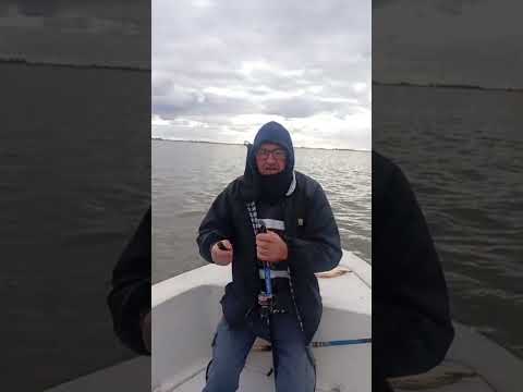 Hoy muy buena pesca en Viamonte  Laguna La Gringa | Viamonte, Córdoba Reservas: Rodrigo 3537603333.