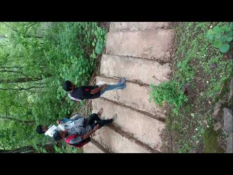 chhattisgarh karela bhavani 2 260621