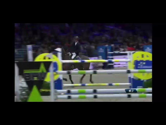 Half-sister of the colt Buffalo Tom W&M Z is the Grand Prix CSI 1.55m jumping mare Vivoulette HD with rider Jeroen Appelen.