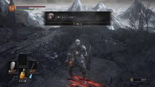 ダクソ　3 やるます