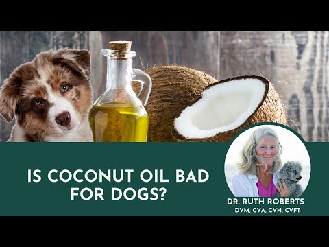 Is coconut oil bad for dogs?