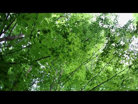 Chrysoula Papadopoulou-Bukite razvivaat (the 1st verse)