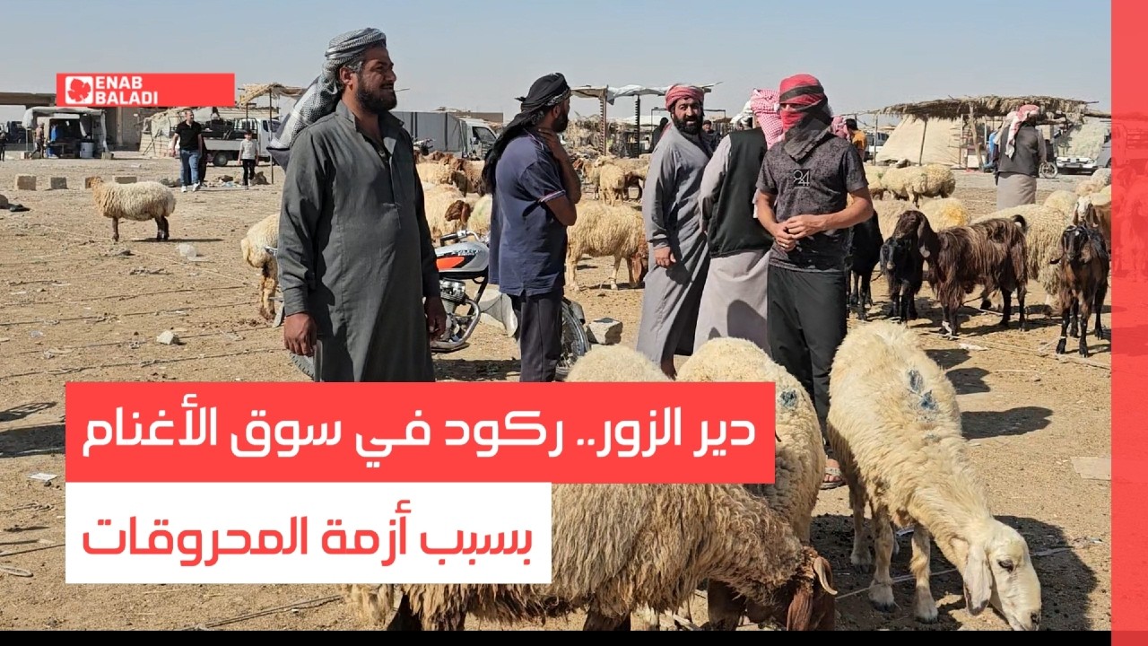 دير الزور.. ركود في سوق الأغنام بسبب أزمة المحروقات