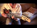 Warm valley - Billy Strayhorn - Bucky Pizzarelli guitar style - Peter van Weerdenburg