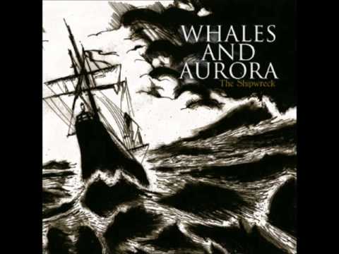 Whales and Aurora - Abandoned Among Echoes