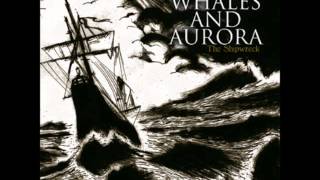 Whales and Aurora - Abandoned Among Echoes